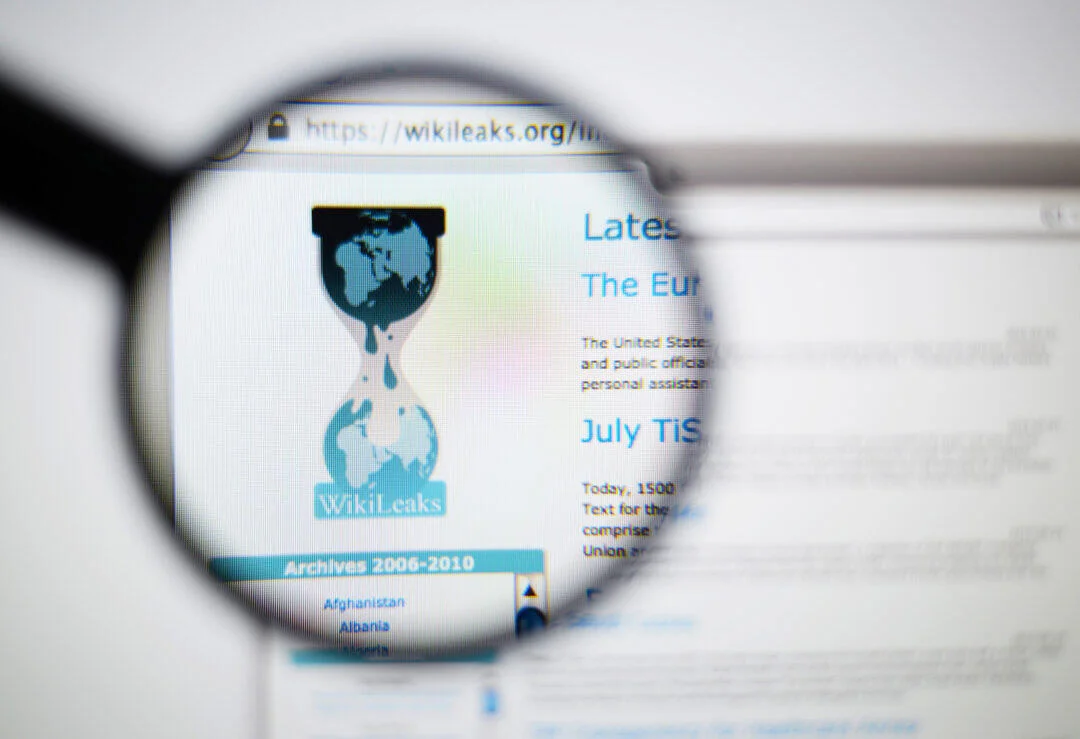 Wikileaks: The Lesson So Far