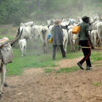 Fulani Herdsmen & The British Legacy of Guilt